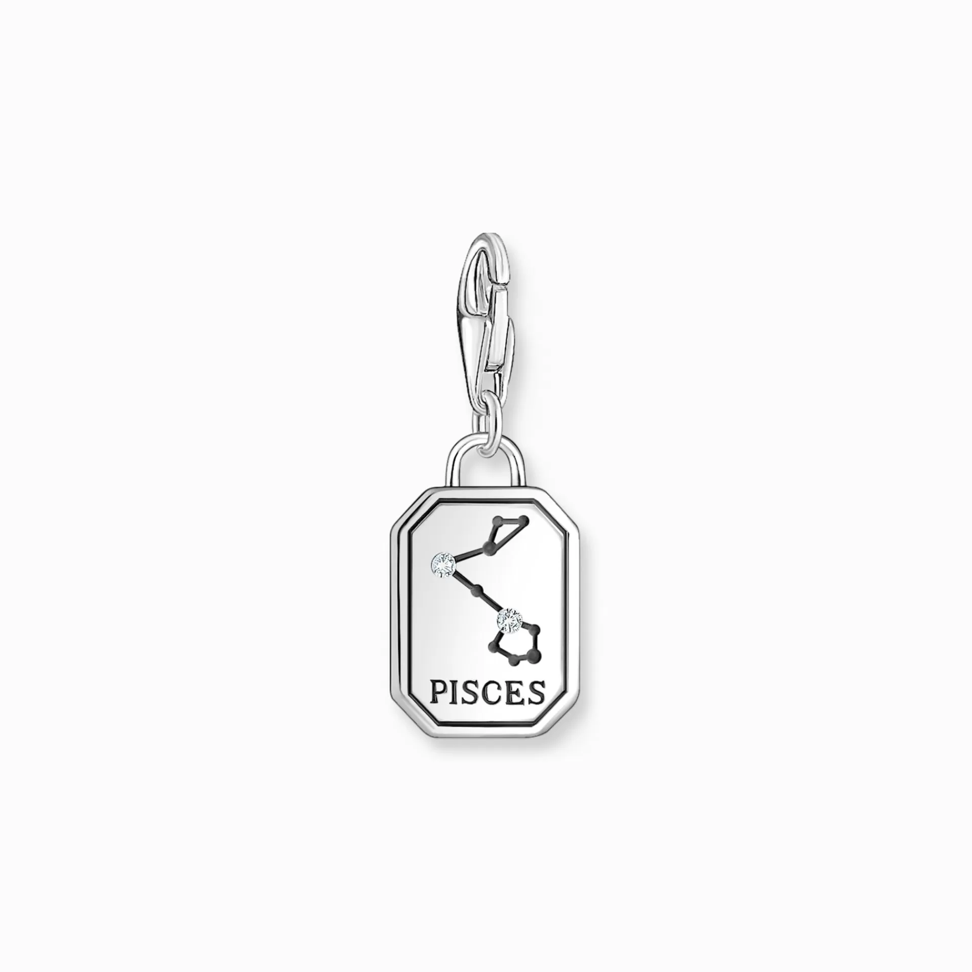 THOMAS SABO Charms | Charms<CHARM-H&AUML;NGSMYCKE STJ&AUML;RNTECKNET FISKARNA MED STENAR, SILVER silverfargad, vit