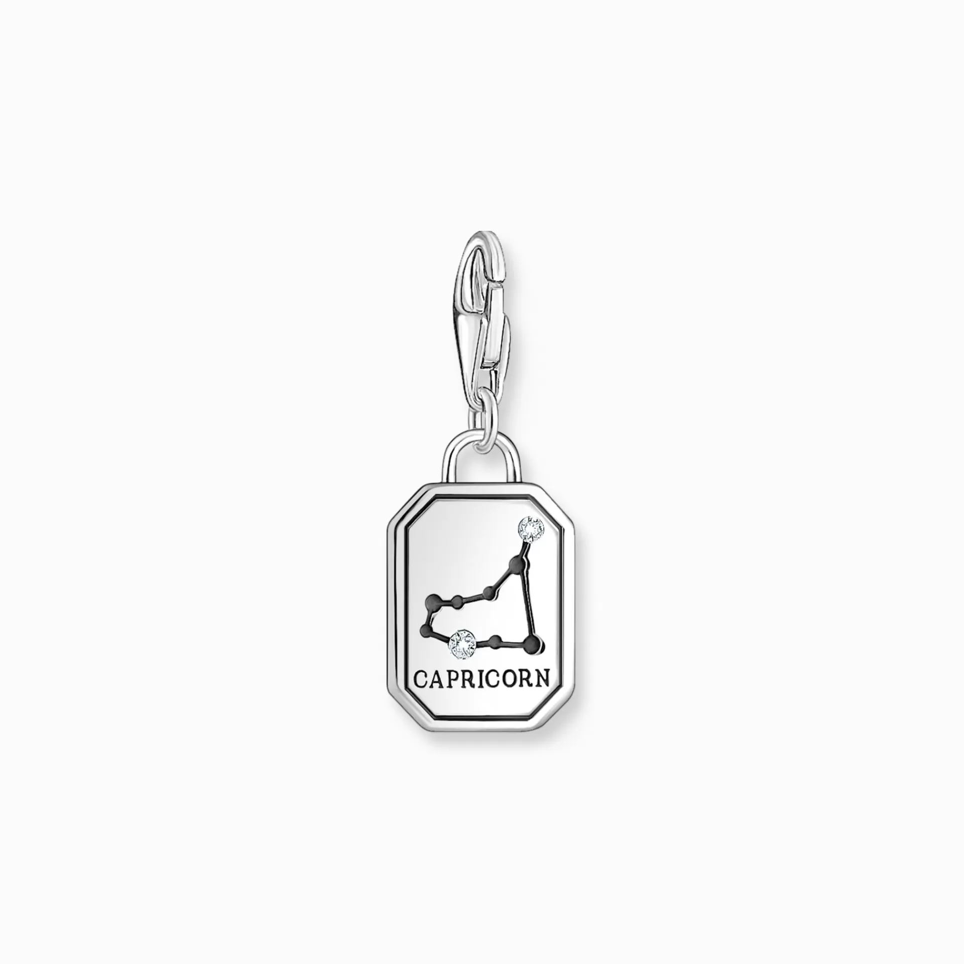 THOMAS SABO Charms | Charms<CHARM-H&AUML;NGSMYCKE STJ&AUML;RNTECKNET STENBOCKEN MED STENAR, SILVER silverfargad, vit